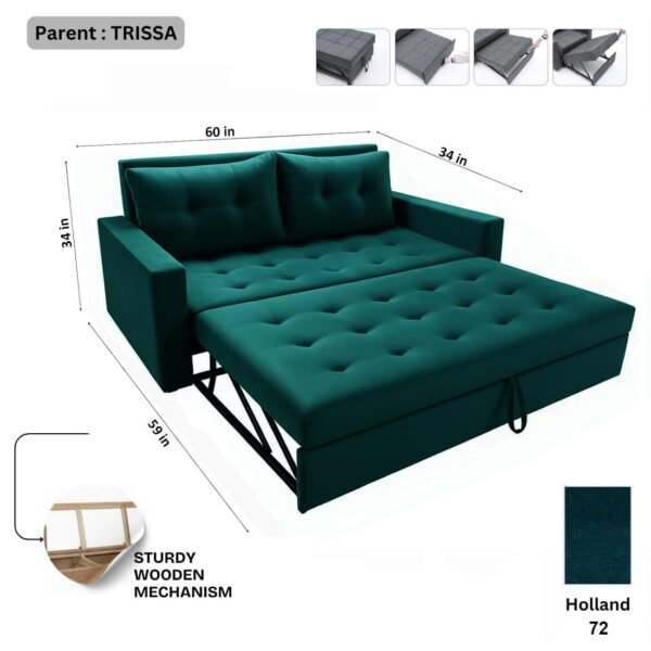 FURNY Tressa 2 Seater Fabric Pull-Out Sofa Cum Bed (Tealish Green) -
